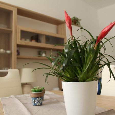 Ohana: Casa nel centro di Lecce Esterno foto