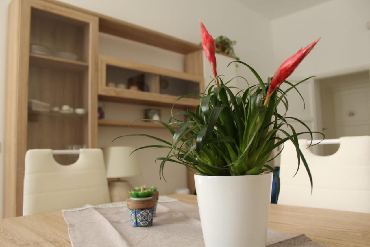 Ohana: Casa nel centro di Lecce Esterno foto